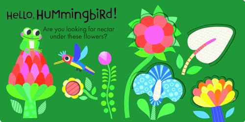 Hello, Frog: Touch, Feel, and Reveal