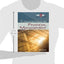 Fundamentals of Financial Management