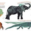What Do You Do with a Tail Like This? Bilingual Edition: A Caldecott Honor Award Winner
