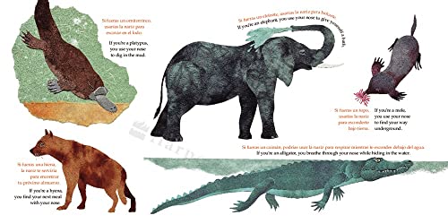 What Do You Do with a Tail Like This? Bilingual Edition: A Caldecott Honor Award Winner