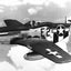 Wings of War: The World War II Fighter Plane that Saved the Allies and the Believers Who Made It Fly