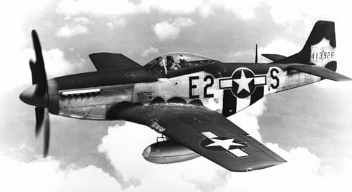 Wings of War: The World War II Fighter Plane that Saved the Allies and the Believers Who Made It Fly
