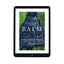 Balm: A Novel