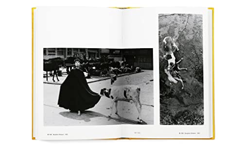 Masahisa Fukase 1961-1991 Retrospective
