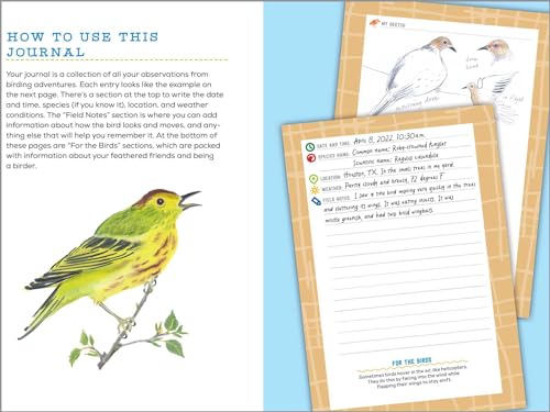 Bird Watching Book for Kids: A Journal to Observe and Record Your Birding Adventures (Exploring for Kids Activity Books and Journals)