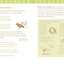 The Nature Connection: An Outdoor Workbook for Kids, Families, and Classrooms