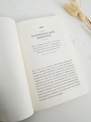 When the Journey Hurts: Finding Meaning in Suffering for Heart, Mind, and Soul