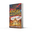 The Angel Deception: The gripping new action thriller novel from the million-copy bestselling author of the Matt Drake series, perfect for fans of James Patterson and Dan Brown (Joe Mason) (Book 6)