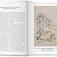 Leonardo. The Complete Drawings (Bibliotheca Universalis)