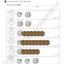 Learning about Money (Learning Line)