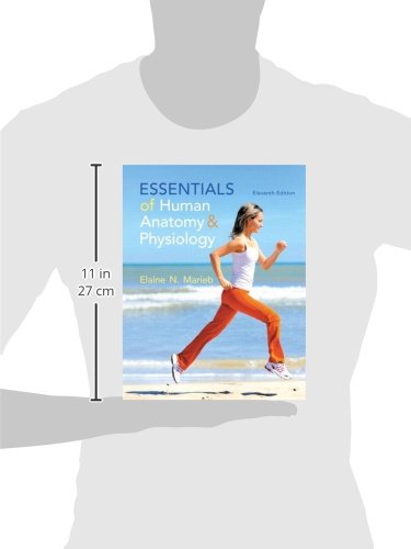 Essentials of Human Anatomy & Physiology (11th Edition) by M