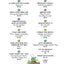 It's So Amazing!: A Book about Eggs, Sperm, Birth, Babies, a