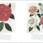 Flora: An Illustrated History of the Garden Flower - Compact