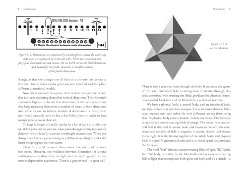 Nothing in This Book Is True, But It's Exactly How Things Are: The Secret History of the Earth, Merkaba Activation, and Breath Alchemy