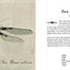 Mechanica by Balchin, Lance