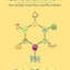 Neurogastronomy: How the Brain Creates Flavor and Why It Matters