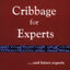 Cribbage for Experts by Dan Barlow (New)