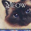David Michie The Dalai Lamas Cat 3 Books Bundle Collection (The Dalai Lamas Cat, The Art of Purring, The Power of Meow)