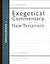 1 Corinthians (Zondervan Exegetical Commentary on the New Testament)