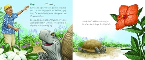 Memoirs of a Tortoise