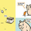 A Pig, a Fox, and a Box
