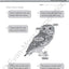 Evan-Moor Science Lessons and Investigations, Grade 1, Homeschool and Classroom Teaching Resource Workbook, Reproducible Worksheets, Observe, Analyze, ... Physical (Science Lessons & Investigations)