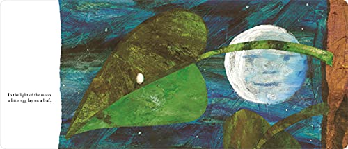 The Very Hungry Caterpillar Big Board Booke