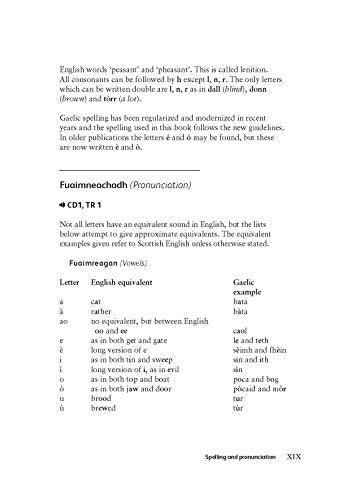 Complete Gaelic Beginner to Intermediate Course (Teach Yourself)