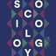 Introduction to Sociology: Seagull Edition