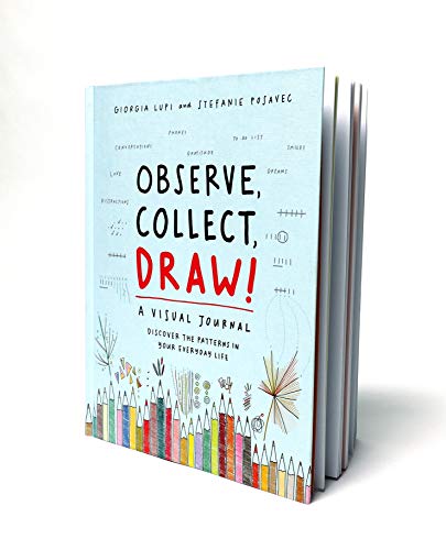 Observe Collect Draw!: A Visual Journal