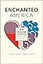 Enchanted America: How Intuition and Reason Divide Our Politics