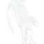 Ultimate Dot-to-Dot Animals: Extreme Puzzle Challenges to Complete and Color, An Animal Activity Book for Adults