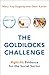 THE GOLDILOCKS CHALLENGE