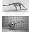 The Rise and Fall of the Dinosaurs: A New History of Their Lost World
