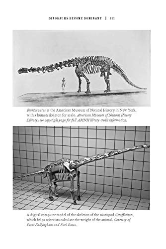 The Rise and Fall of the Dinosaurs: A New History of Their Lost World