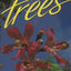 Florida's Fabulous Trees