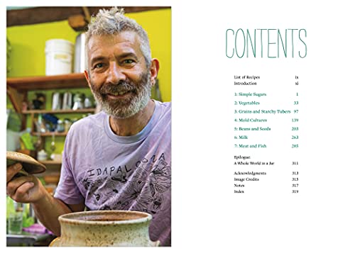 Sandor Katz? Fermentation Journeys: Recipes, Techniques, and Traditions from around the World