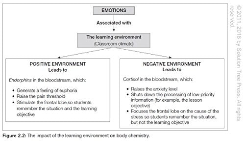 Differentiation and the Brain: How Neuroscience Supports the Learner-Friendly Classroom (Use Brain-Based Learning and Neuroeducation to Differentiate Instruction)