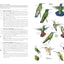 National Geographic Field Guide to the Birds of North America, 7th Edition