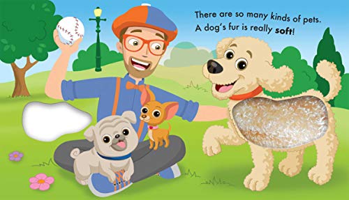 Blippi: Pets (Touch and Feel)