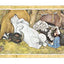 On Noah's Ark