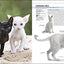The Complete Cat Breed Book: Choose the Perfect Cat for You
