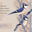 Birding for Babies: Backyard Birds: A Numbers Book