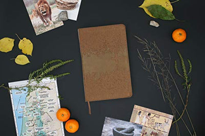 NIV, Kids' Visual Study Bible, Leathersoft, Bronze, Full Color Interior: Explore the Story of the Bible---People, Places, and History