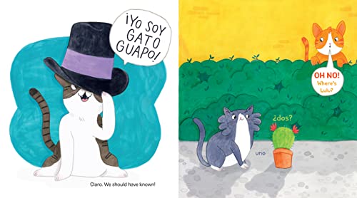 Gato Guapo