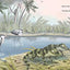 Claude: The True Story of a White Alligator