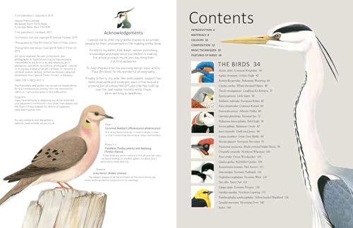 A-Z of Bird Portraits: An illustrated guide to painting beautiful birds