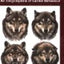 Dog Language: An Encyclopedia of Canine Behavior by Abrantes