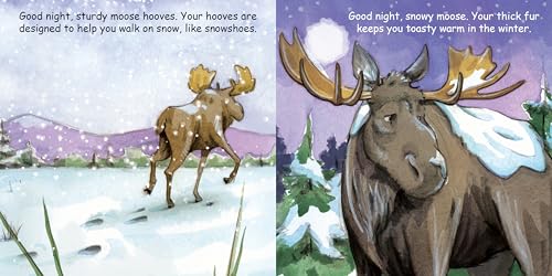 Good Night Moose (Good Night Our World)