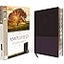 The Amplified Study Bible, Leathersoft, Purple, Thumb Indexed